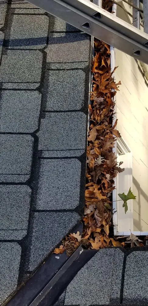 Custom landscaping services experts serving Red Bank, NJ - JVD Handyman Landscaping