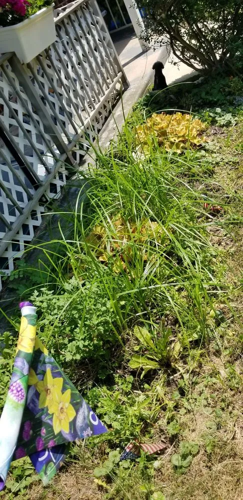 Reliable yard cleanup service for homes across Red Bank, NJ - JVD Handyman Landscaping