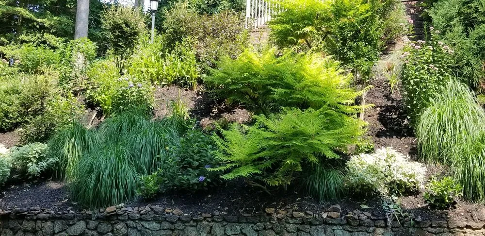 Professional lawn mowing service experts serving Red Bank, NJ - JVD Handyman Landscaping