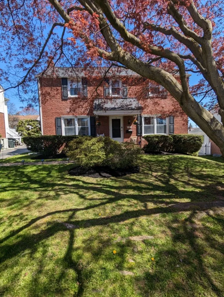 Local landscaping services experts serving Morton, PA - JVD Lawn Care & Landscaping