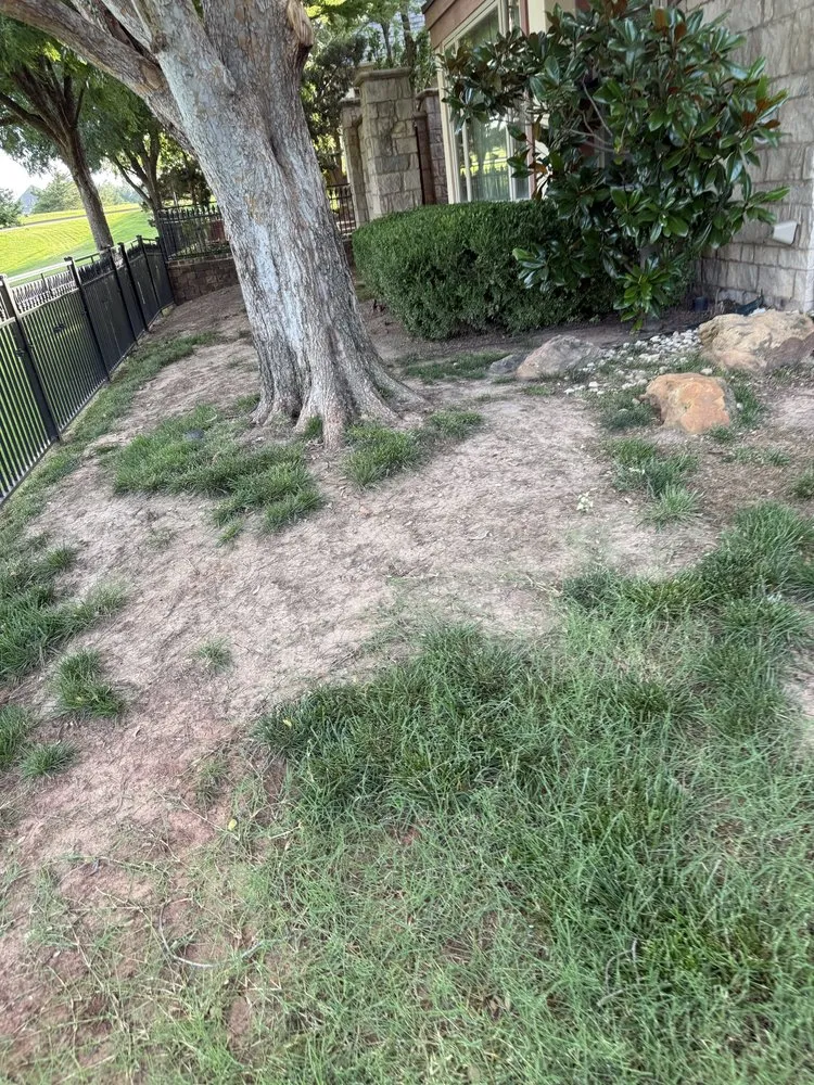 Trusted yard cleanup service in Edmond, OK by JVH Landscaping