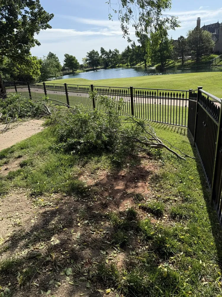 Trusted yard cleanup service for year-round maintenance in Edmond, OK by JVH Landscaping