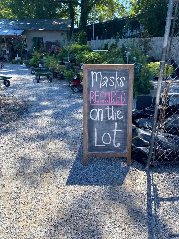 Affordable outdoor landscaping for year-round maintenance in Nashville, TN by JVI Secret Gardens