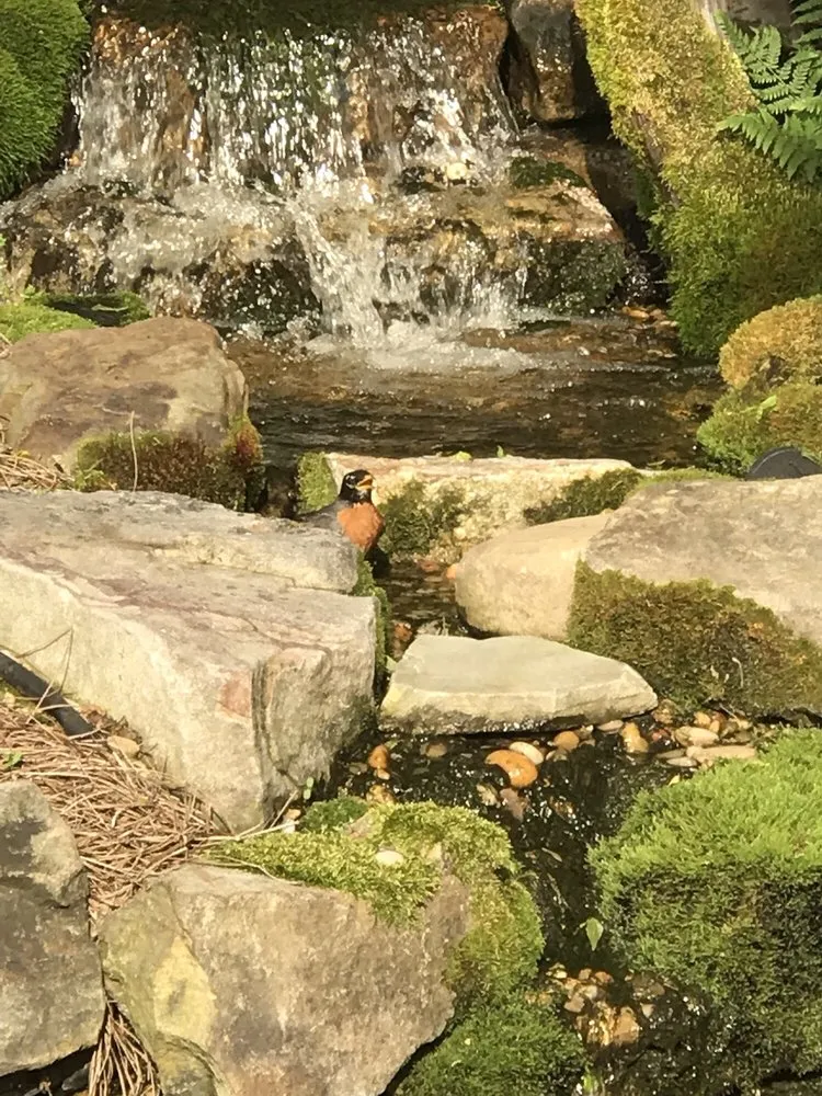 Trusted yard maintenance experts serving Nashville, TN - JVI Secret Gardens