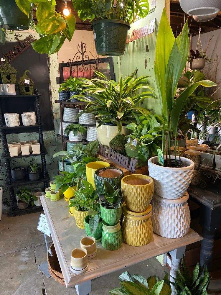 Top-rated lawn care service with custom design across Nashville, TN - JVI Secret Gardens