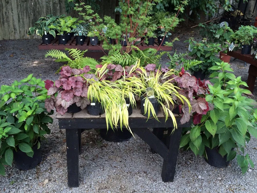 Expert lawn mowing service in Nashville, TN by JVI Secret Gardens