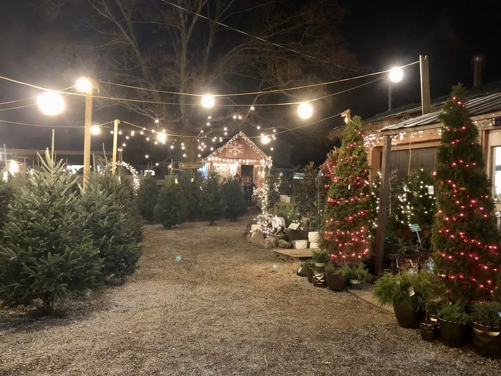 Reliable residential landscaping in Nashville, TN - JVI Secret Gardens