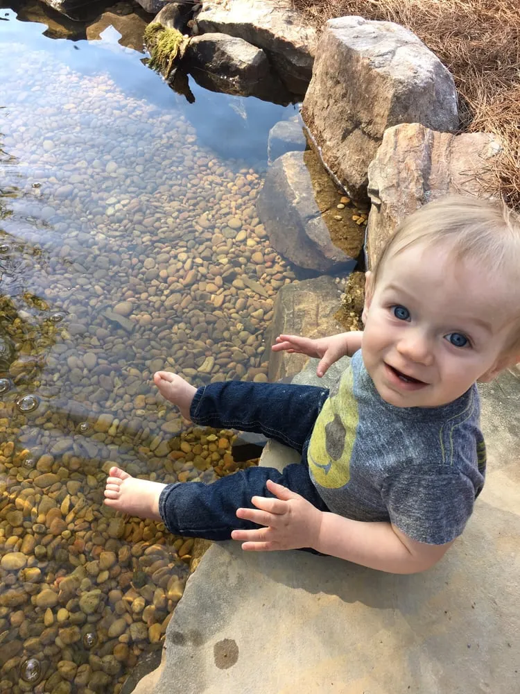 Top-rated residential landscaping for residential properties across Nashville, TN - JVI Secret Gardens