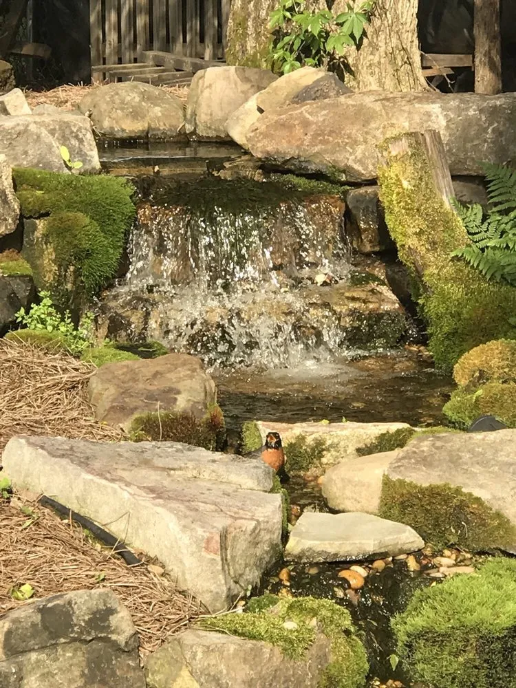 Expert landscape installation for beautiful yards in Nashville, TN by JVI Secret Gardens