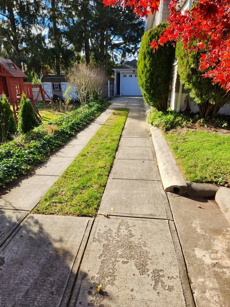 Affordable landscape design for beautiful yards across Fairhaven, MA - Jvick Lawn Care