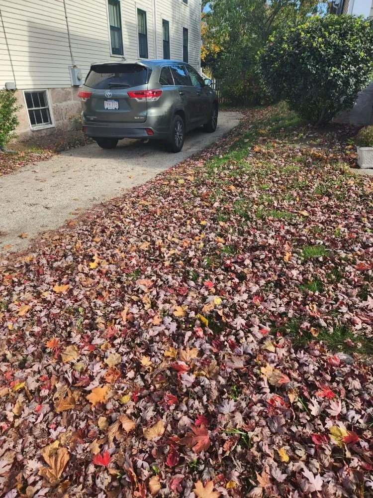 Expert yard cleanup service in Fairhaven, MA by Jvick Lawn Care