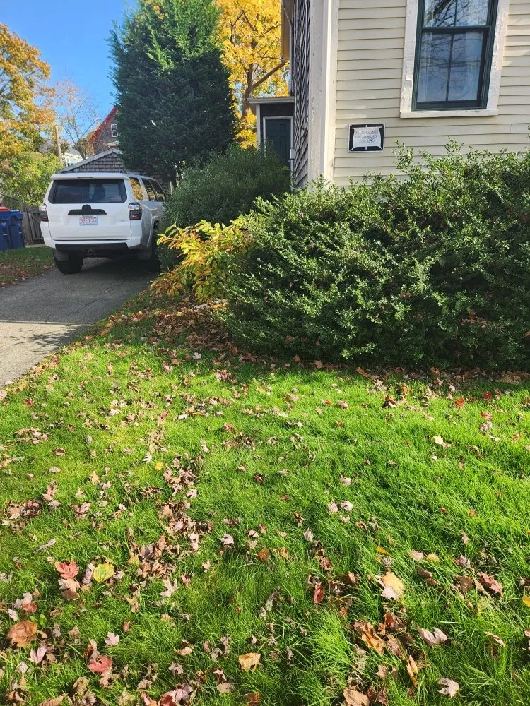 Top-rated garden landscaping in Fairhaven, MA by Jvick Lawn Care