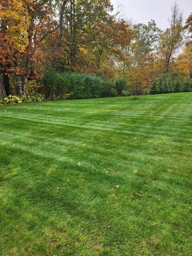 Local yard maintenance experts serving Fairhaven, MA - Jvick Lawn Care