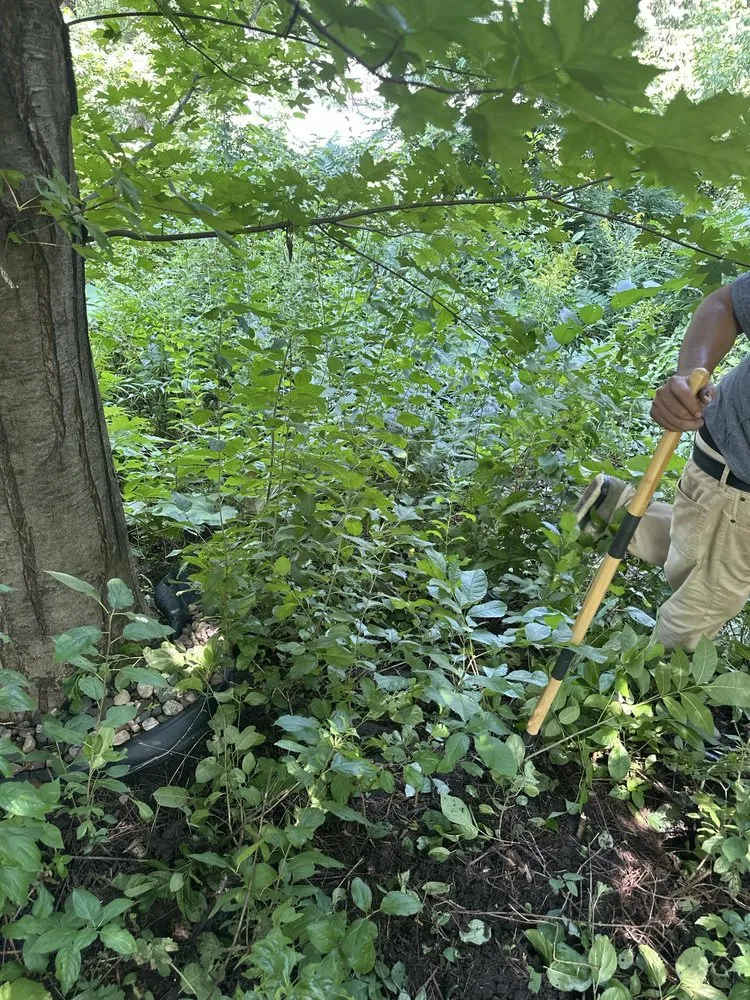 Local lawn mowing service in Faribault, MN by J&Vida Landscaping