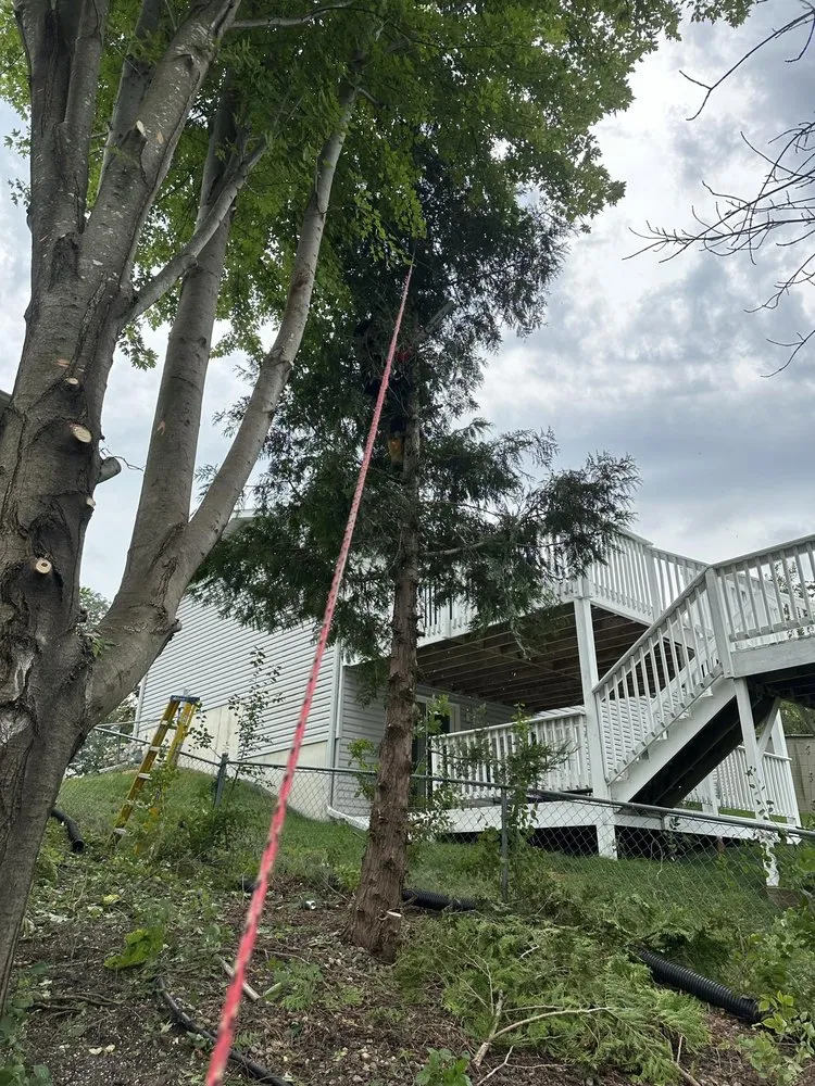 Trusted outdoor landscaping experts serving Faribault, MN - J&Vida Landscaping