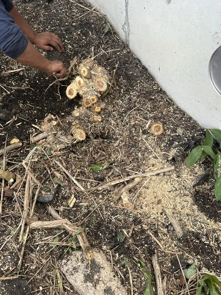 Custom garden landscaping in Faribault, MN - J&Vida Landscaping