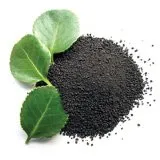 Trusted lawn care service experts serving Centennial, CO - JVJ Lawn Care & Sprinkler