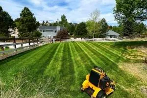 Trusted lawn mowing service in Centennial, CO - JVJ Lawn Care & Sprinkler