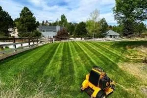 Trusted yard cleanup service in Parker, CO - JVJ Lawn Care & Sprinkler