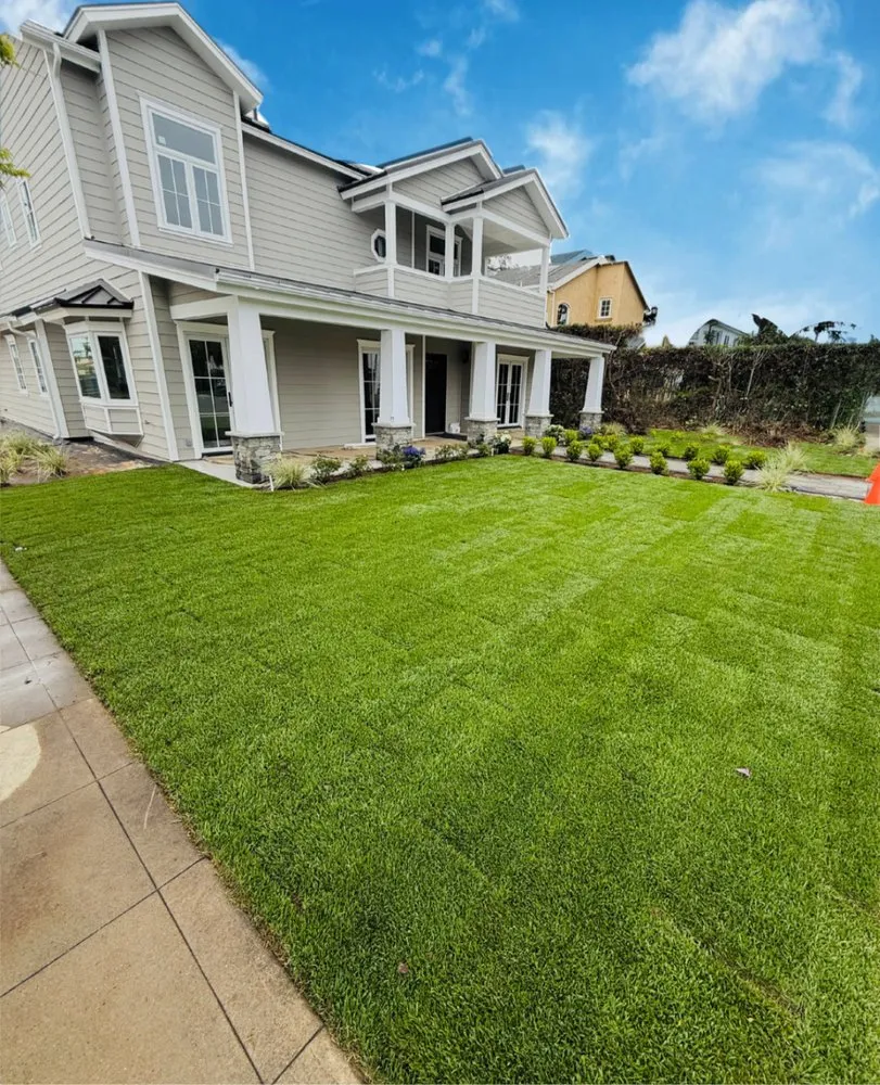 Expert landscape installation in San Diego, CA by JVK Landscaping