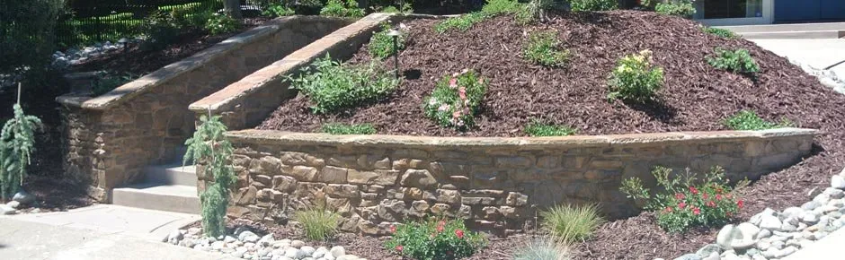Local yard cleanup service for beautiful yards in Sacramento, CA by JVM Landscape Construction