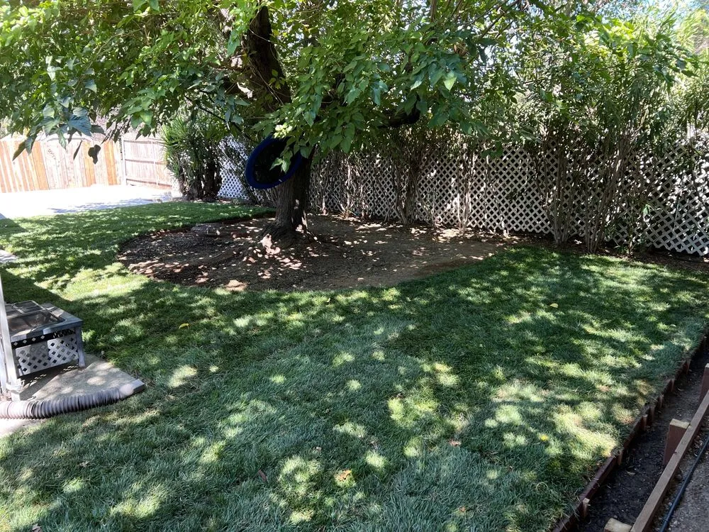 Trusted landscape installation for outdoor upgrades in Sacramento, CA by JVM Landscape Construction