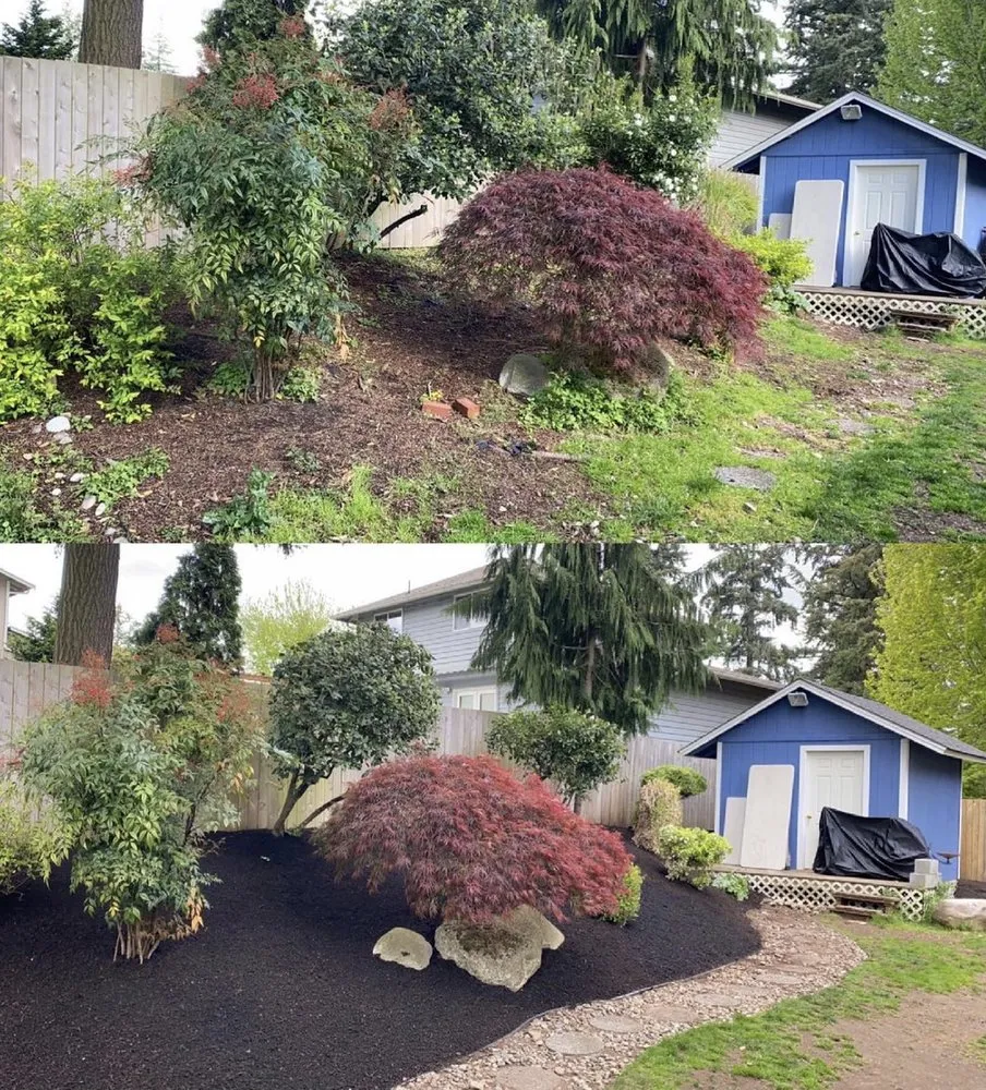 Top-rated landscaping services experts serving Lynnwood, WA - JVM
