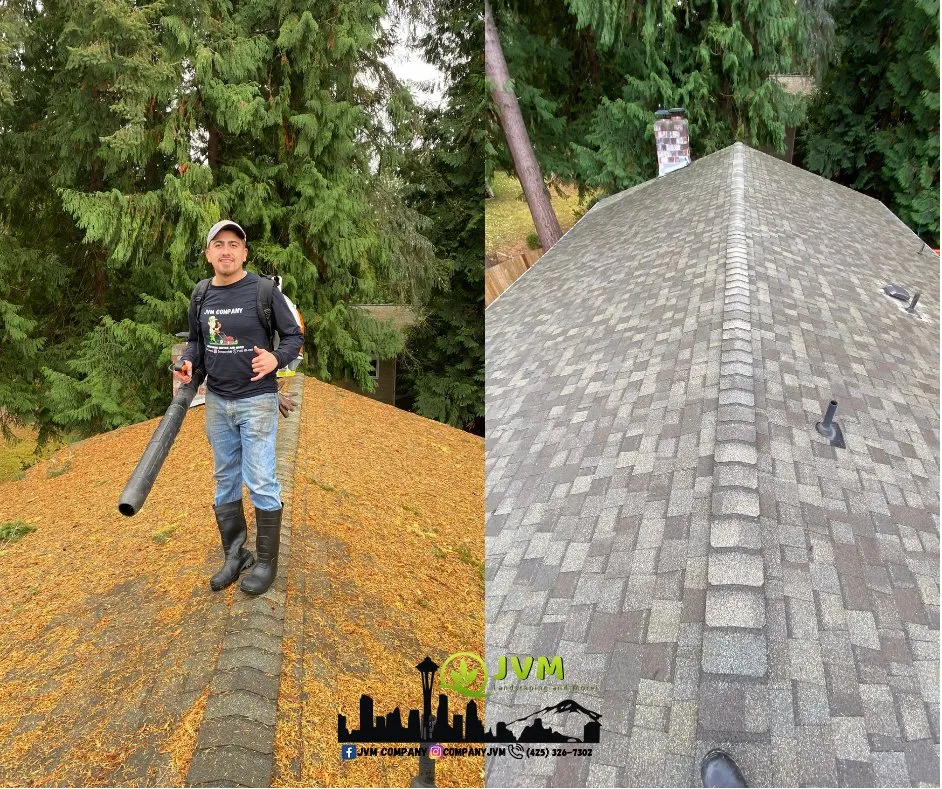 Top-rated lawn care service near you in Lynnwood, WA by JVM