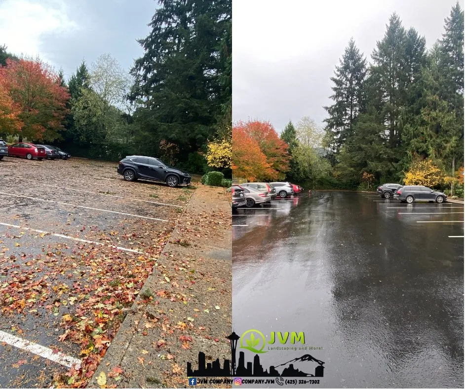Custom yard maintenance experts serving Lynnwood, WA - JVM