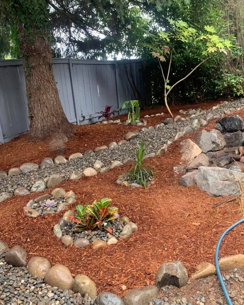 Reliable landscaping services for residential properties across Lynnwood, WA - JVM