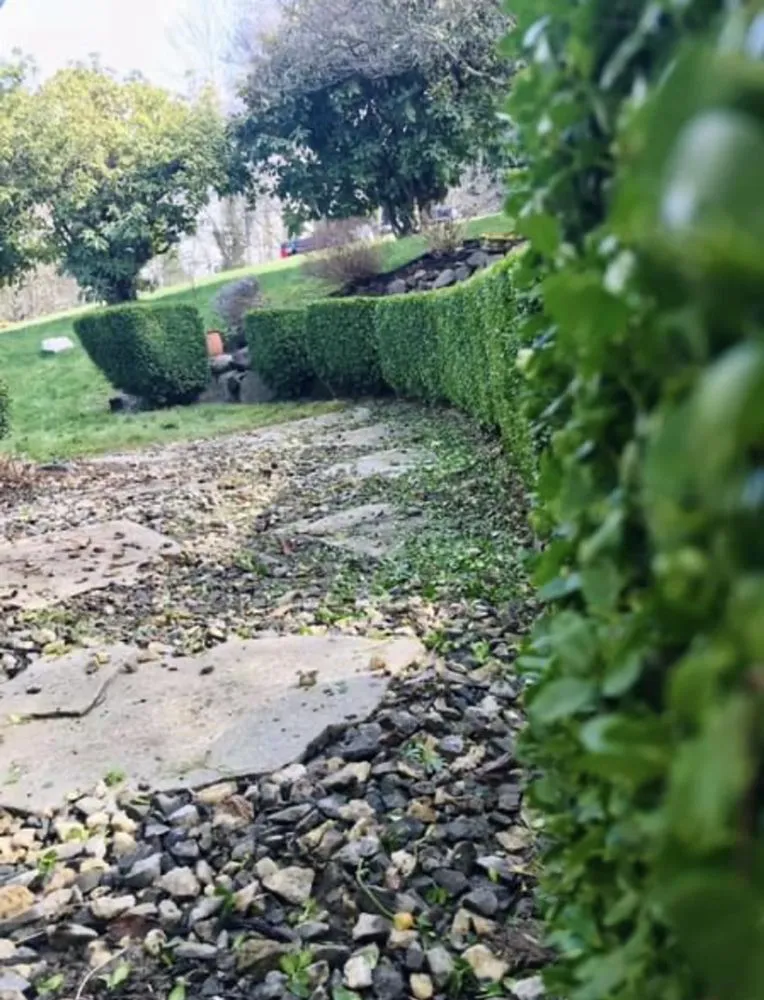 Custom landscaping services for residential properties in Lynnwood, WA by JVM