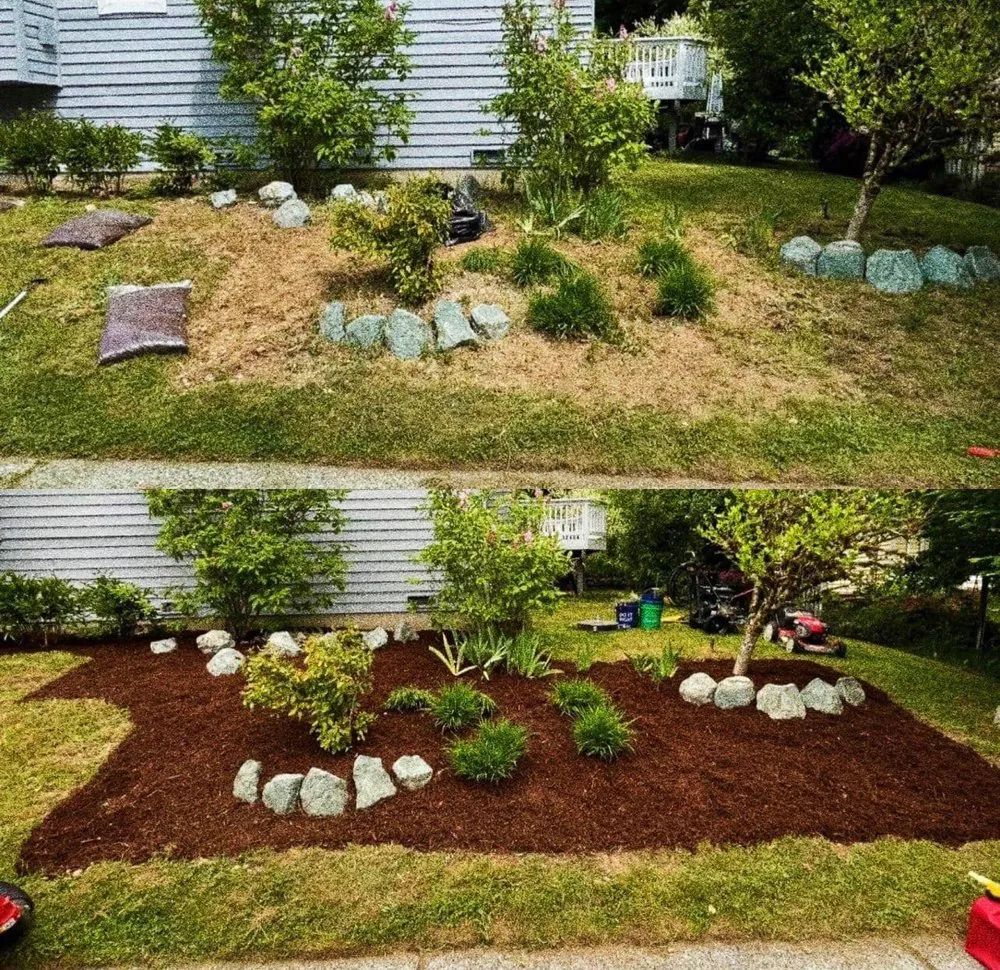 Affordable lawn care service in Lynnwood, WA - JVM