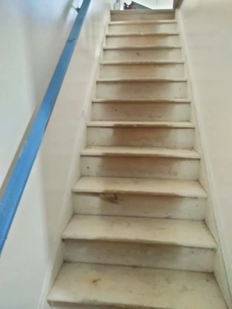 Local landscaping services for year-round maintenance in Temple Hills, MD by JVR Landscaping & Demolition Multiservices