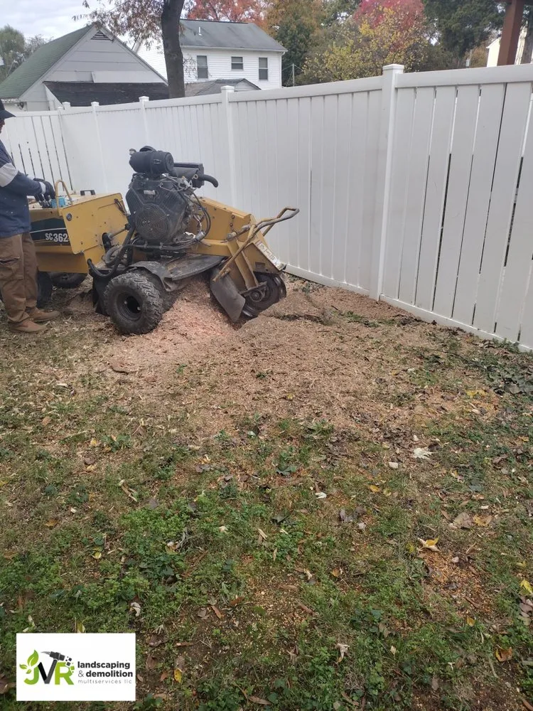 Reliable landscape installation for year-round maintenance in Temple Hills, MD by JVR Landscaping & Demolition Multiservices