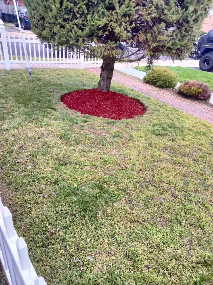 Expert landscape installation in Temple Hills, MD by JVR Landscaping & Demolition Multiservices