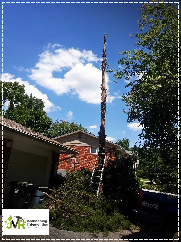 Reliable yard cleanup service near you across Temple Hills, MD - JVR Landscaping & Demolition Multiservices