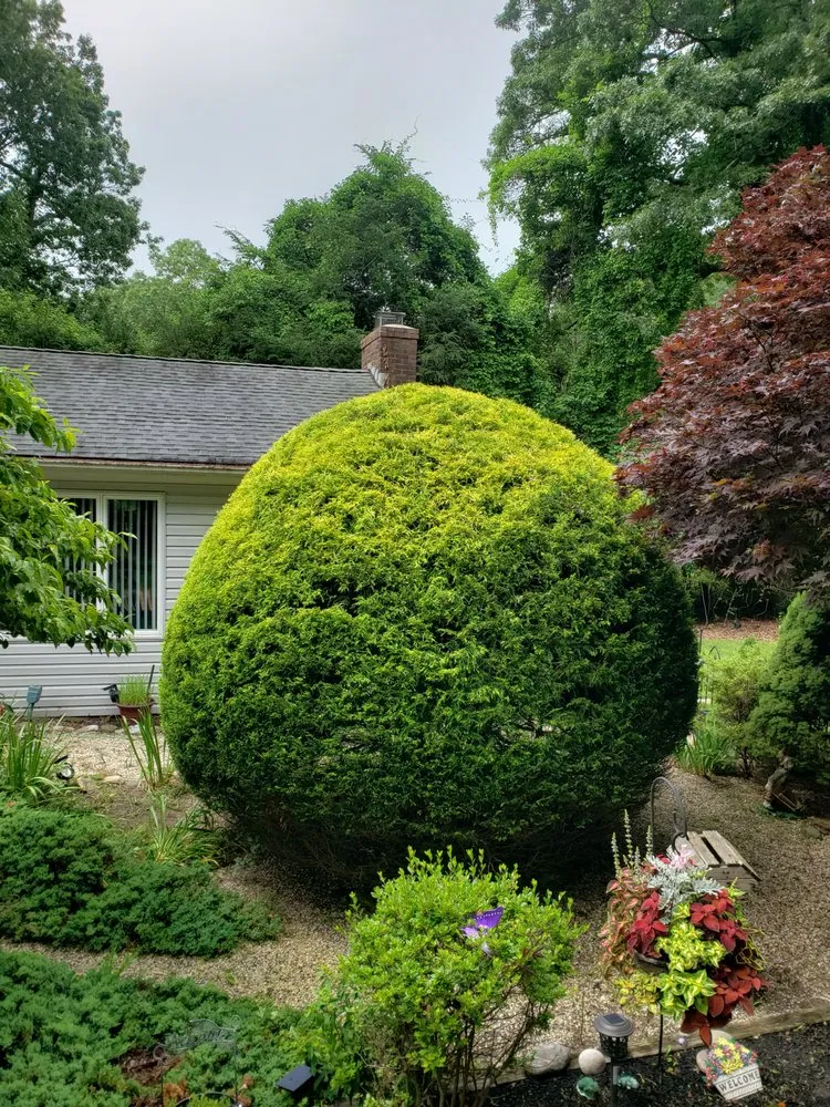 Professional lawn care service for residential properties across Mastic, NY - JVR Landscaping