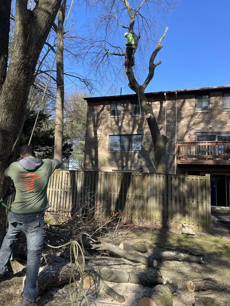 Local landscape installation for homes in Temple Hills, MD by JVs Tree Service & Landscaping