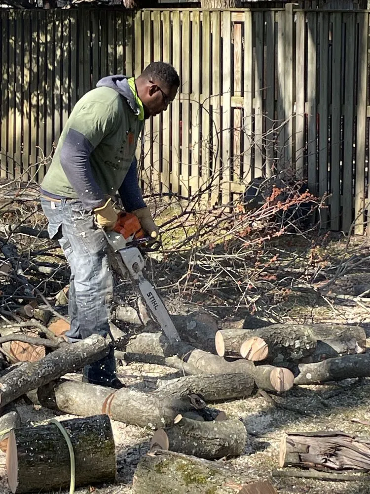 Custom landscape design for year-round maintenance in Temple Hills, MD by JVs Tree Service & Landscaping