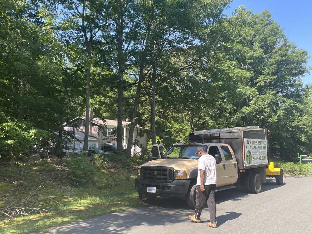 Trusted landscaping services experts serving Temple Hills, MD - JVs Tree Service & Landscaping