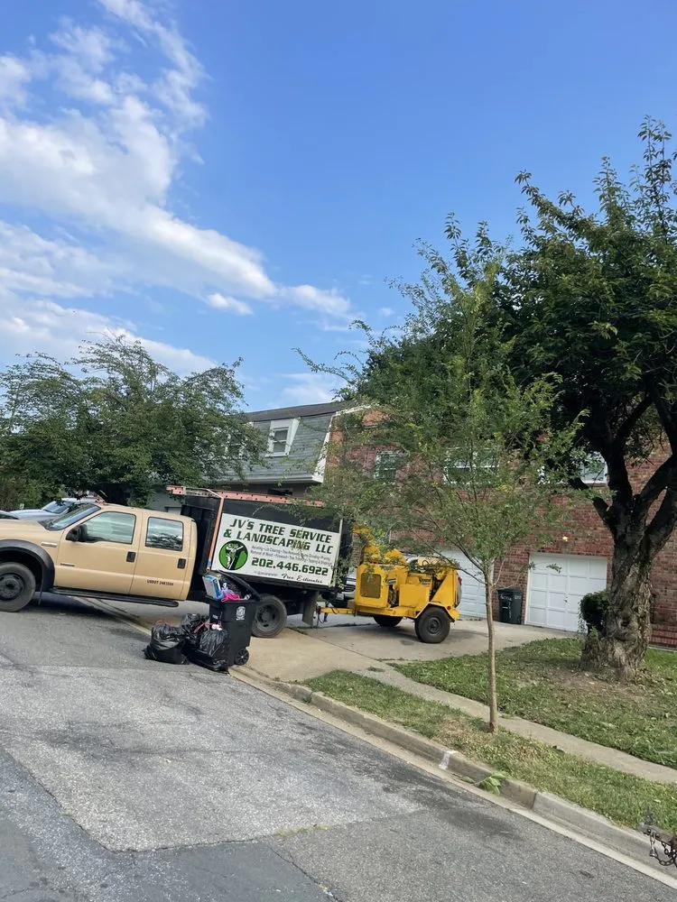 Expert lawn mowing service in Temple Hills, MD by JVs Tree Service & Landscaping