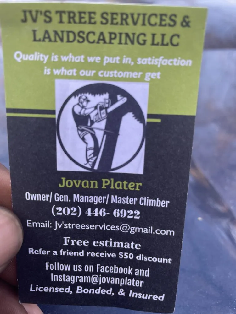 Expert landscaping services in Temple Hills, MD - JVs Tree Service & Landscaping