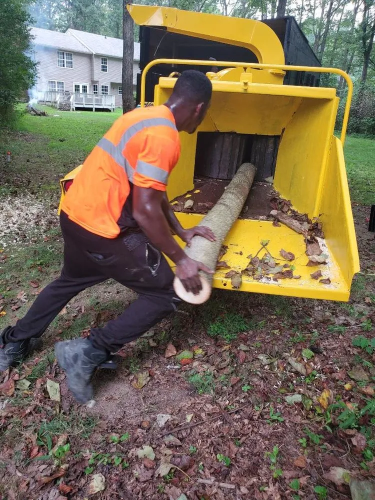 Local lawn care service in Temple Hills, MD - JVs Tree Service & Landscaping