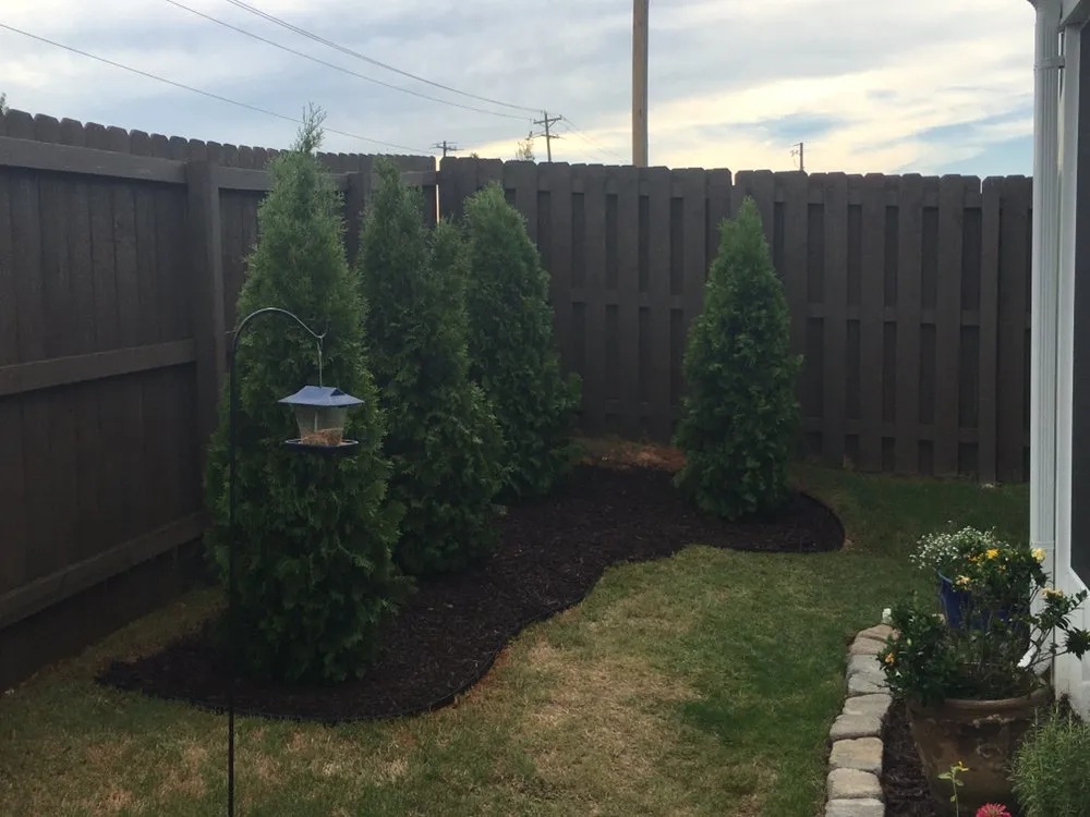 Professional outdoor landscaping for year-round maintenance across Warrenville, SC - JW Allen Professional Services