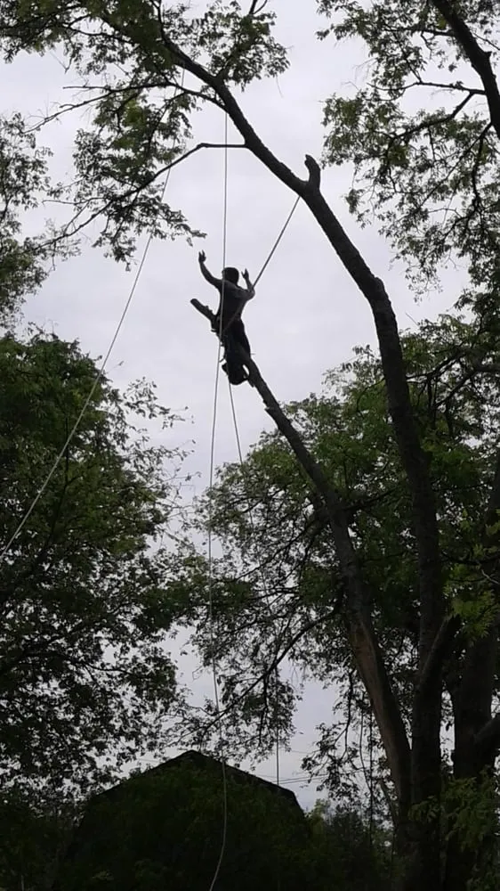 Custom lawn care service for year-round maintenance in Murfreesboro, TN by JW Bennett Tree Lawn and Landscape