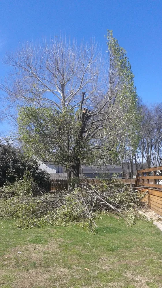 Custom landscaping services in Murfreesboro, TN by JW Bennett Tree Lawn and Landscape