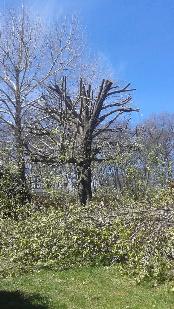 Professional residential landscaping experts serving Murfreesboro, TN - JW Bennett Tree Lawn and Landscape