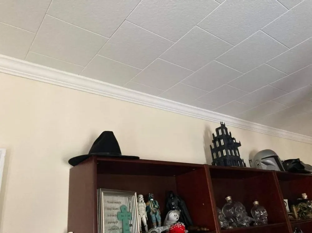 Reliable yard maintenance for outdoor upgrades in Washington, NJ by Jw Contracting Solutions