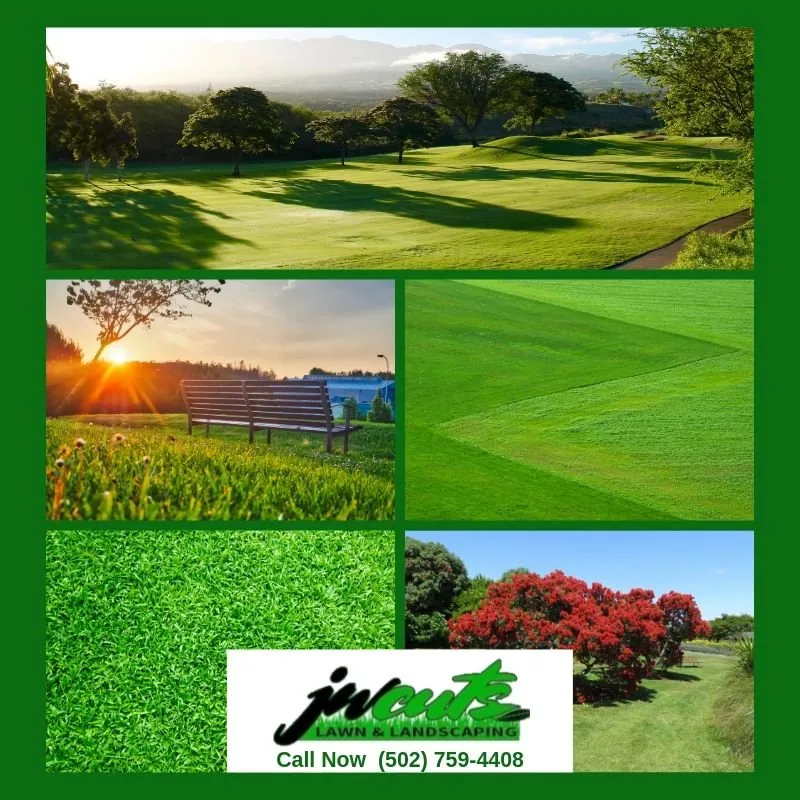 Custom landscaping services with custom design in Louisville, KY by JW Cuts Lawns and Landscaping