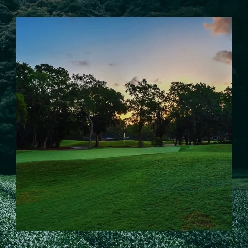 Affordable landscaping services for homes in Louisville, KY by JW Cuts Lawns and Landscaping